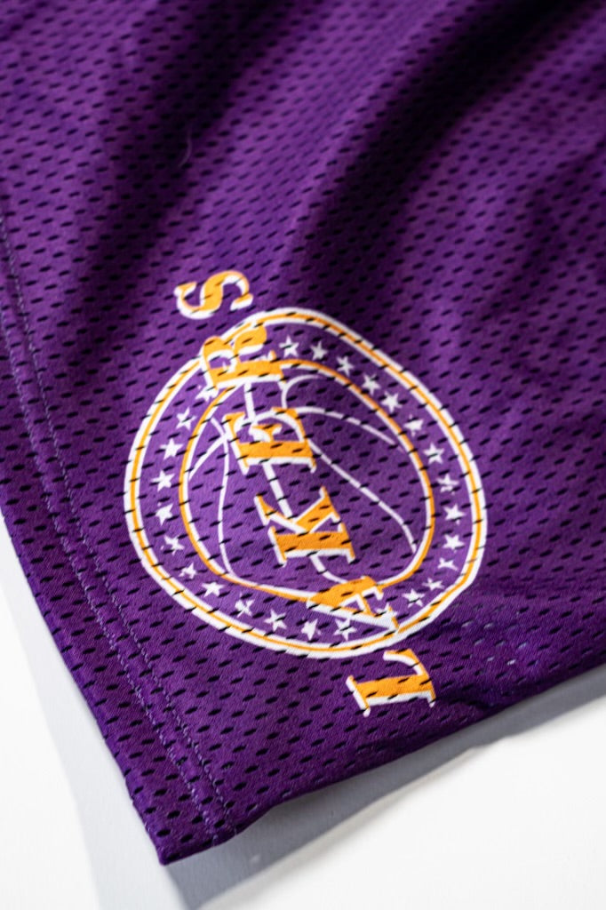 Lakers hot sale mesh shorts